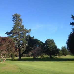 16640974_1292825250780597_7770503097721061715_n