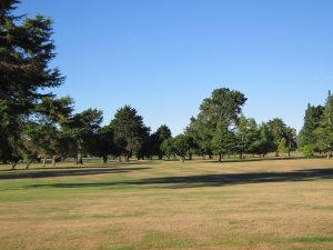 Martinborough GC, hole 14, par 4