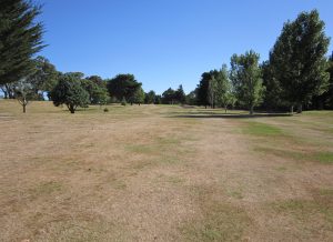 Martinborough GC, hole 5, par 4